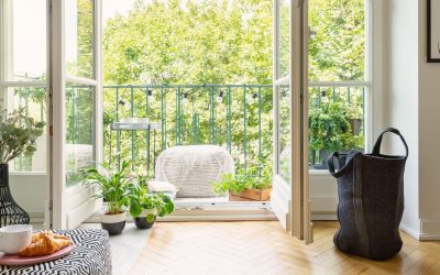 Zero Waste Living Dream Come True: How to Make Your Home More Eco-Friendly
