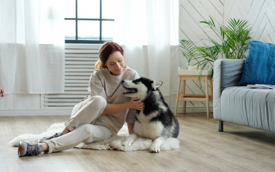 Pet-Friendly Apartments in The Klang Valley