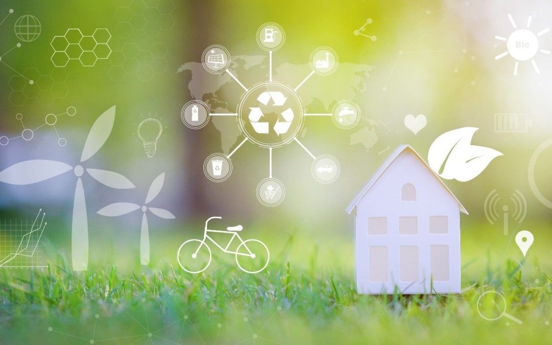 Sustainable Living Made Easy: 5 Practical Tips to Know
