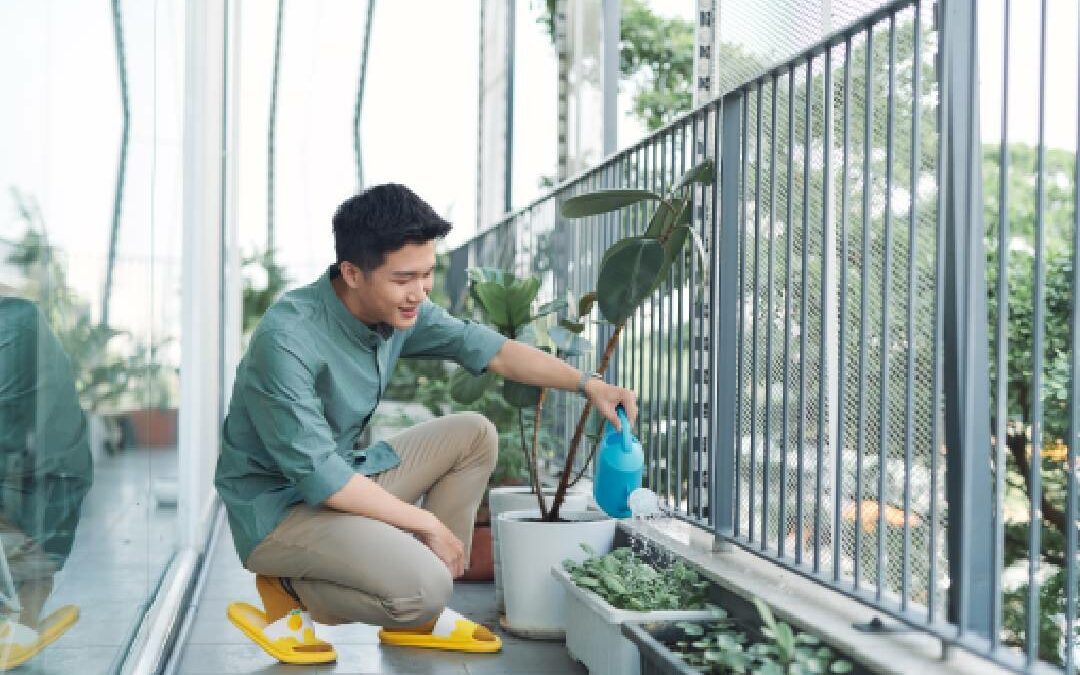 Simple Urban Gardening Ideas for Apartments in Malaysia